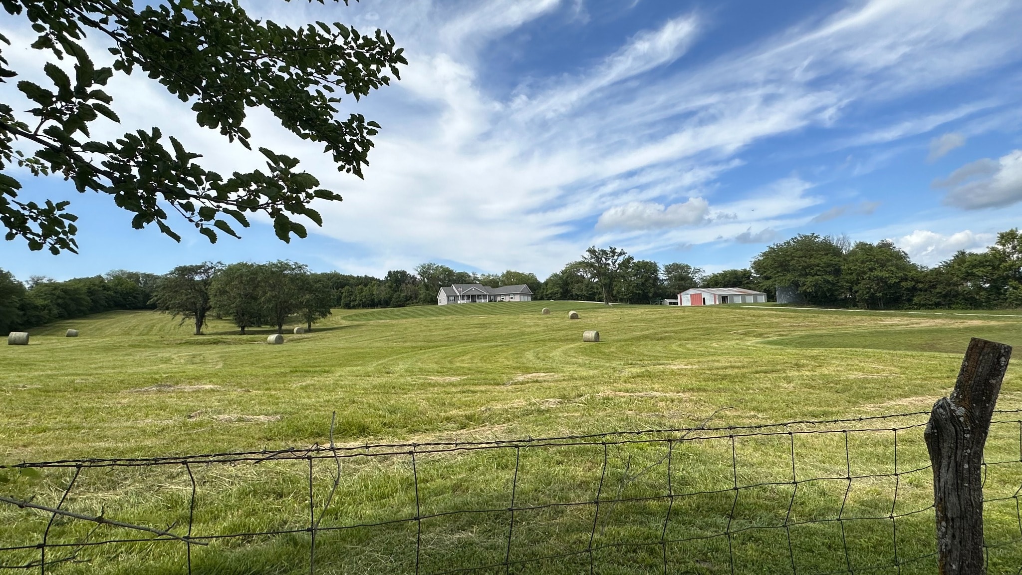 A quiet morning on the farm